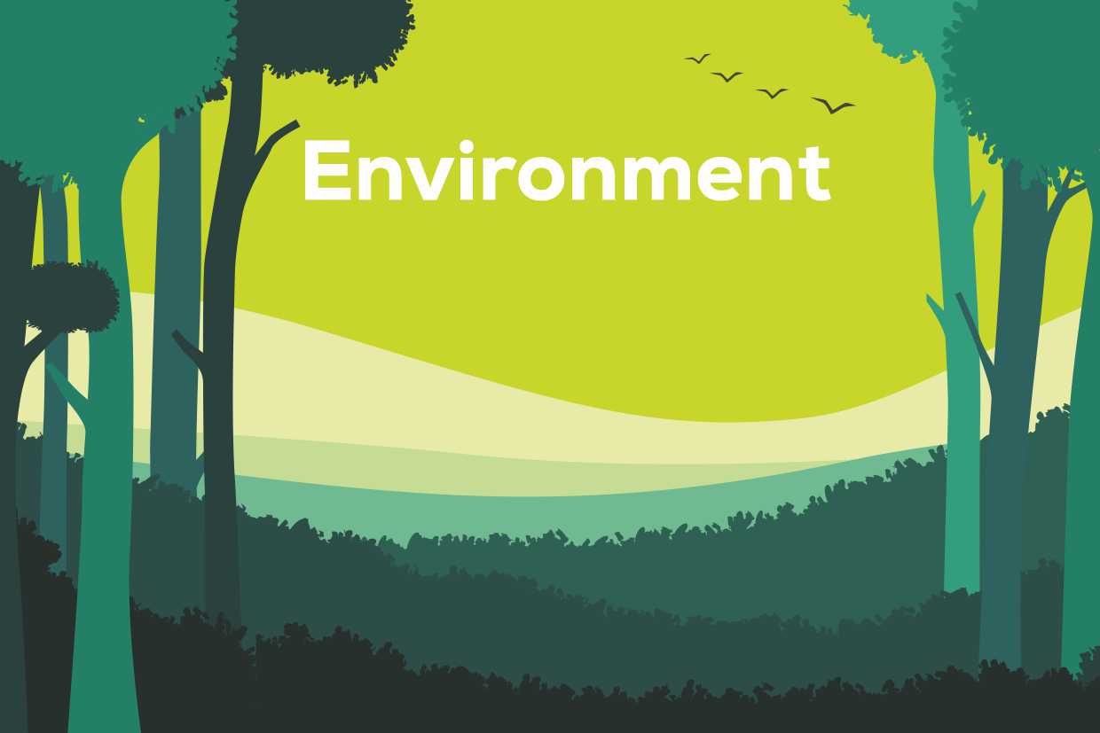 kamal-csr-environment